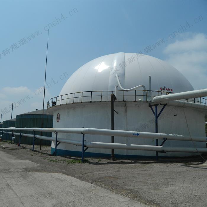 Dual Membrane Gas Domes In PVDF Membrane